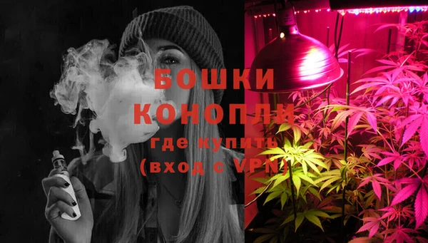 сатива Володарск