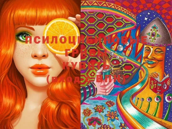 ECSTASY Волоколамск