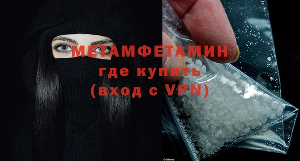 сатива Володарск