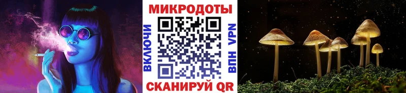 Галлюциногенные грибы Magic Shrooms  купить   Чегем 